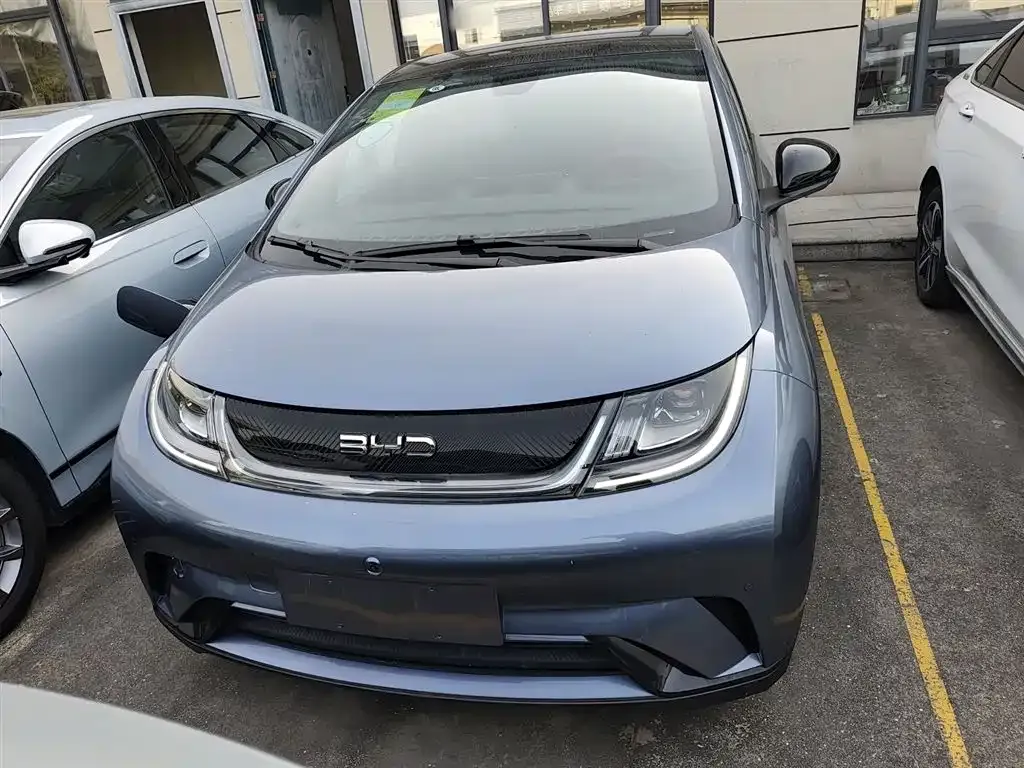 BYD Dolphin 2024 из CN, фото 3