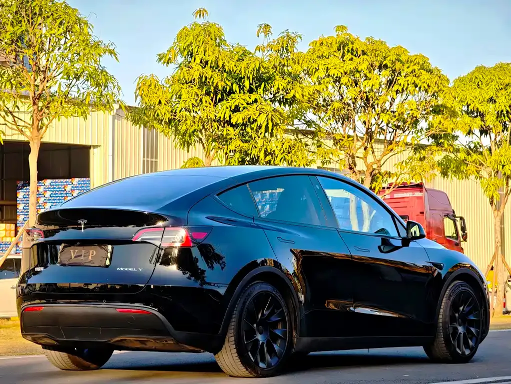 Tesla Model Y 2022 из CN, фото 4
