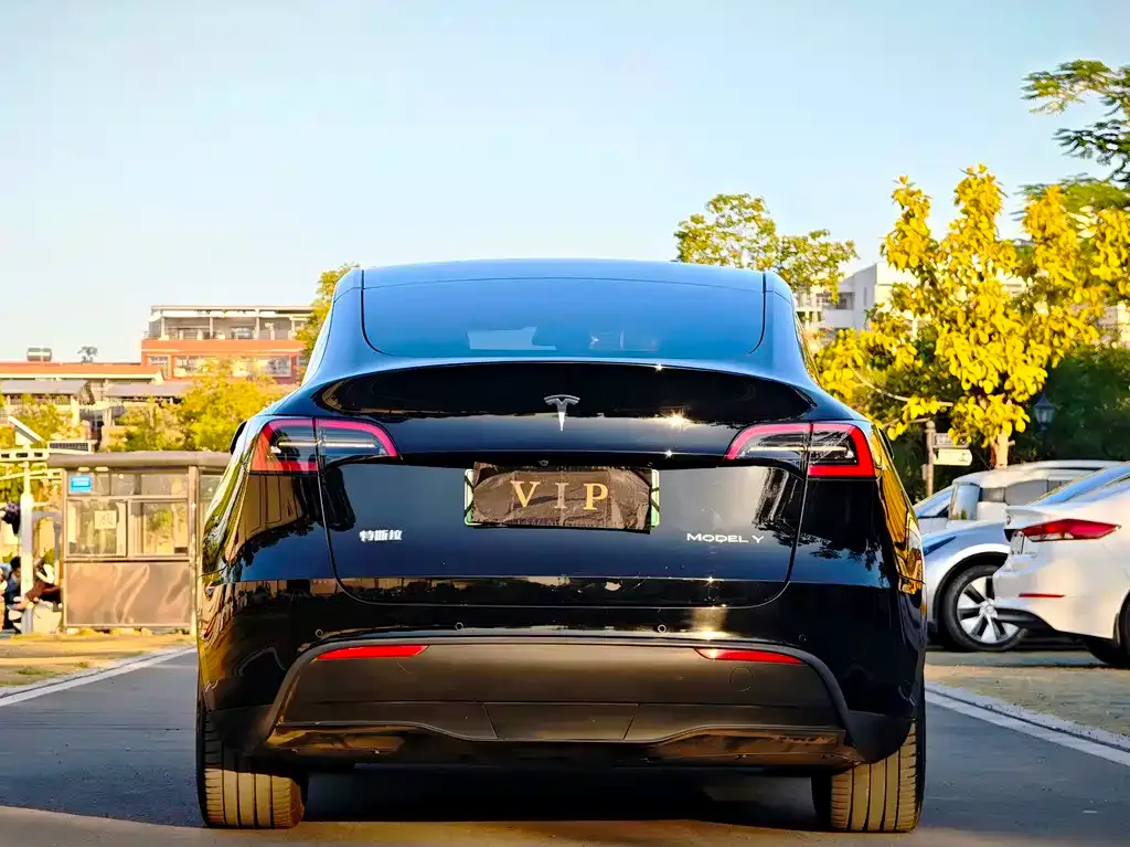 Tesla Model Y 2022 из CN, фото 5
