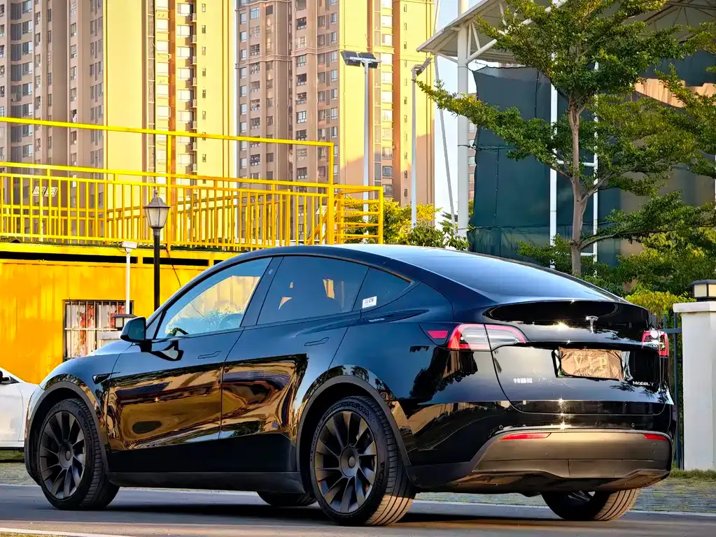 Tesla Model Y 2022 из CN, фото 6
