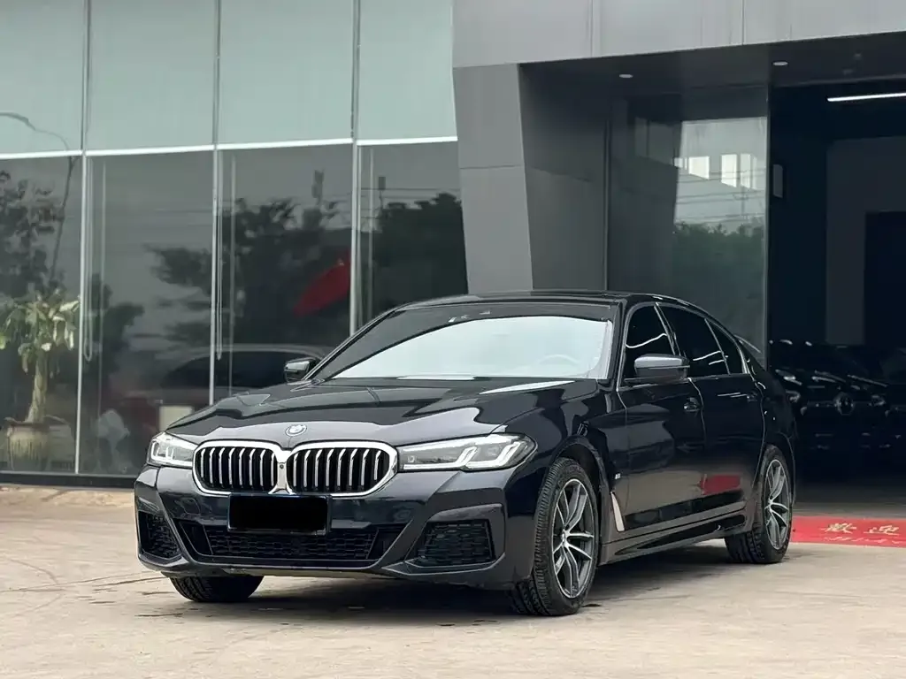 BMW 5 Series 2021 из CN, фото 1