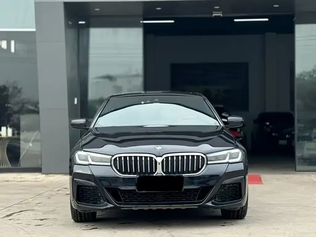 BMW 5 Series 2021 из CN, фото 2