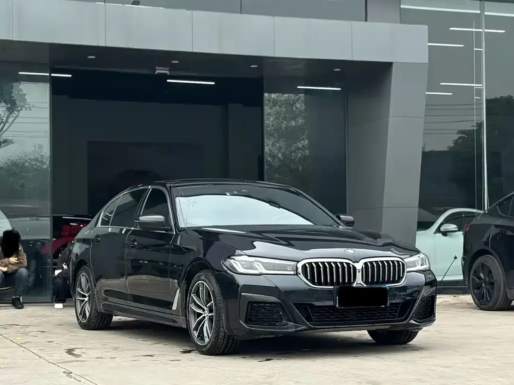 BMW 5 Series 2021 из CN, фото 3