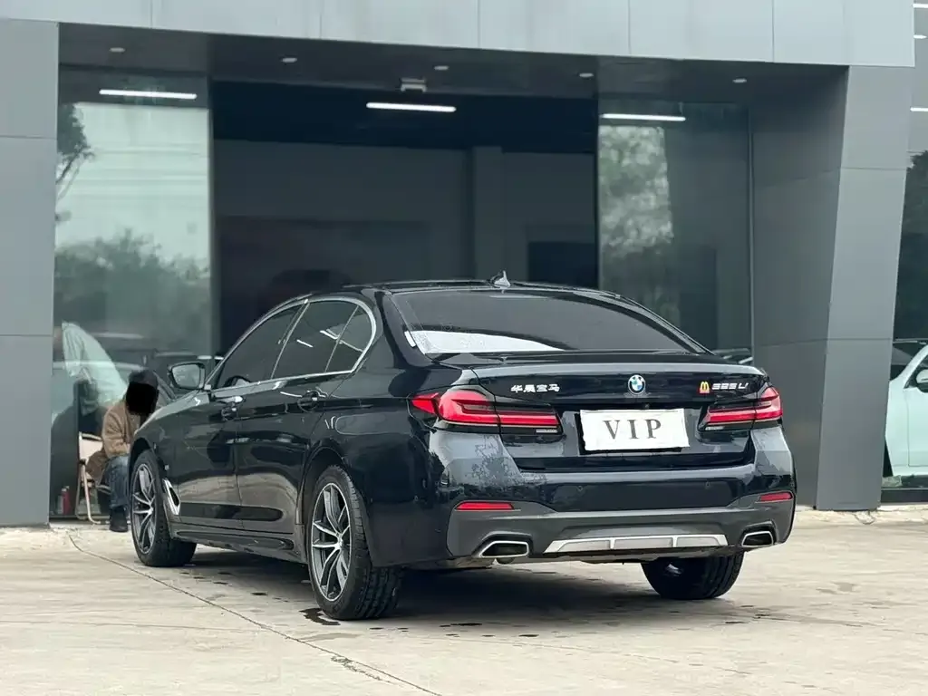 BMW 5 Series 2021 из CN, фото 5