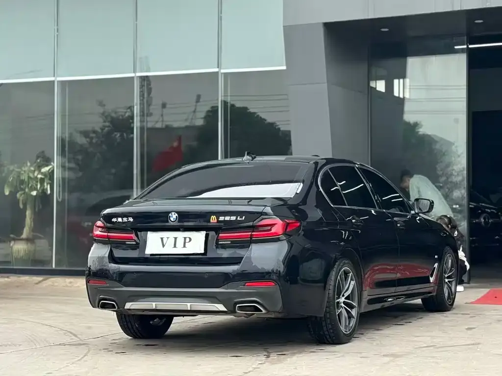 BMW 5 Series 2021 из CN, фото 6