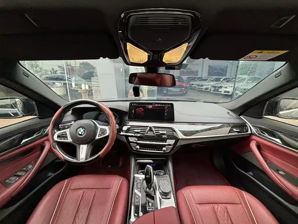 BMW 5 Series 2021 из CN, фото 9