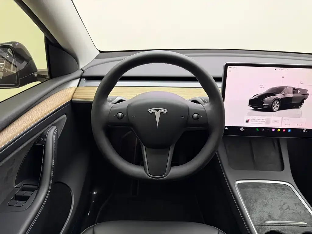 Tesla Model Y 2023 из CN, фото 10