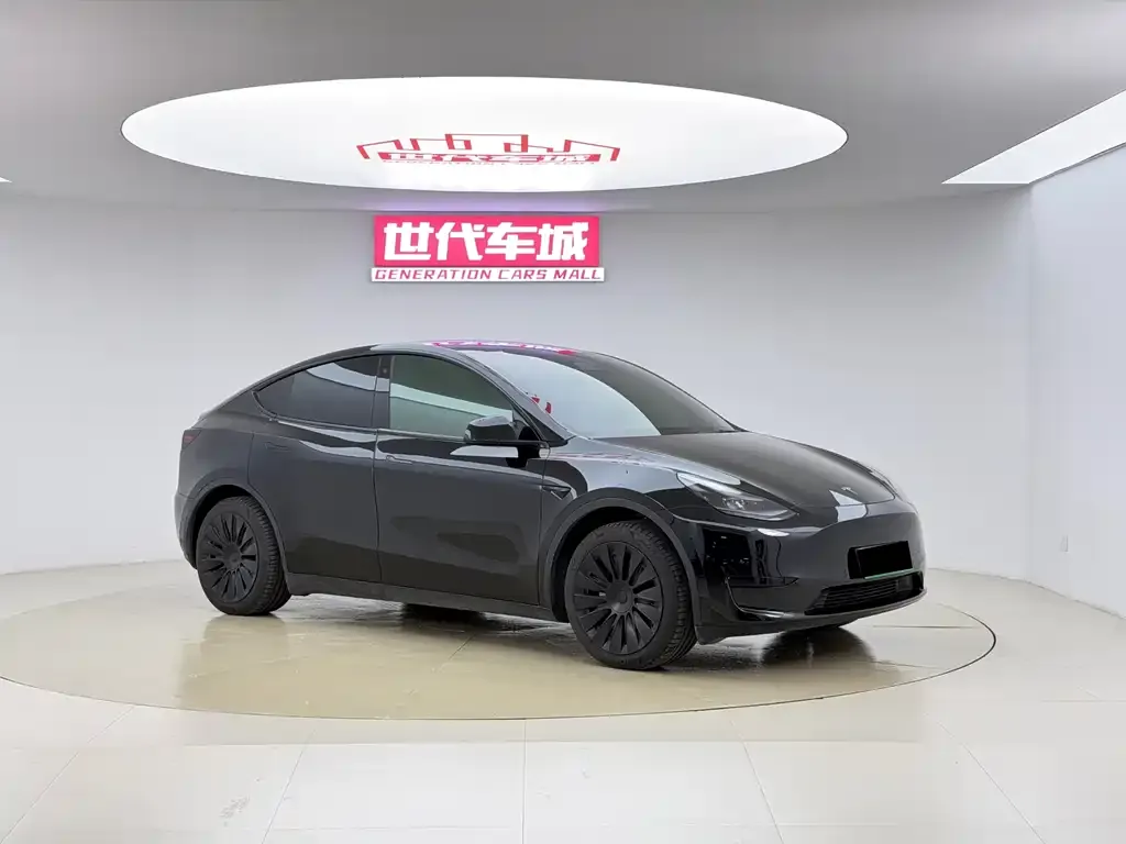 Tesla Model Y 2023 из CN, фото 3