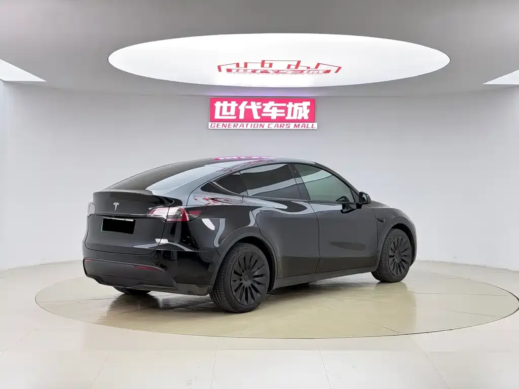 Tesla Model Y 2023 из CN, фото 6