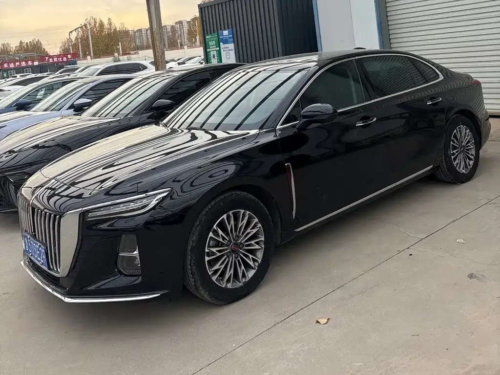 Hongqi H5 2023 из CN, фото 1