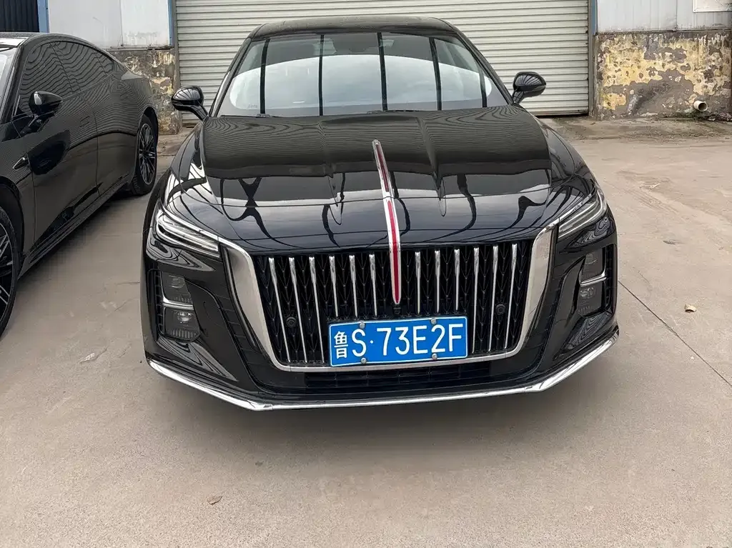 Hongqi H5 2023 из CN, фото 2