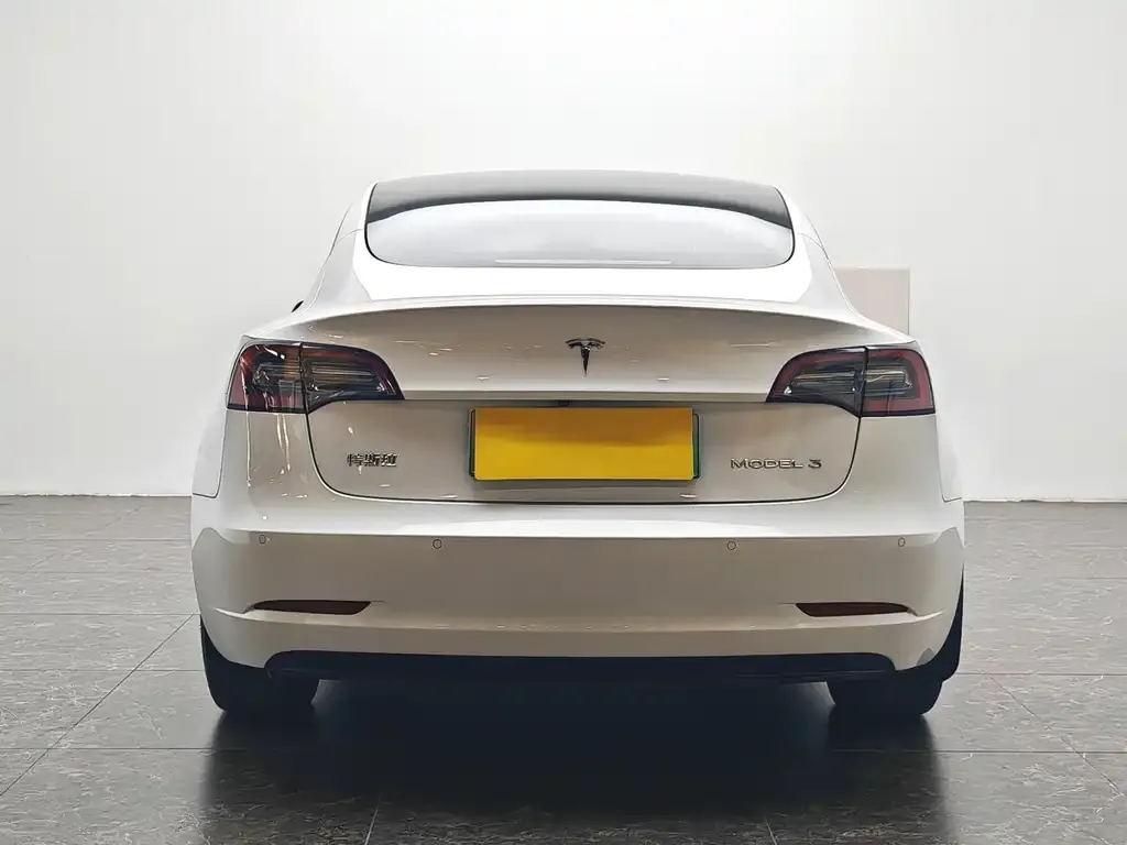 Tesla Model 3 2022 из CN, фото 6