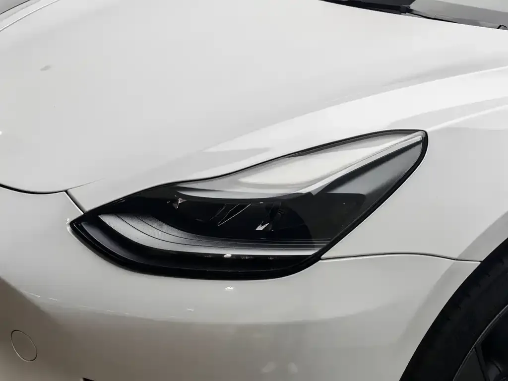 Tesla Model 3 2022 из CN, фото 8