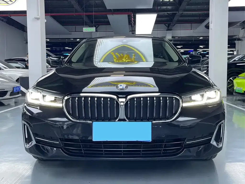 BMW 5 Series 2022 из CN, фото 2