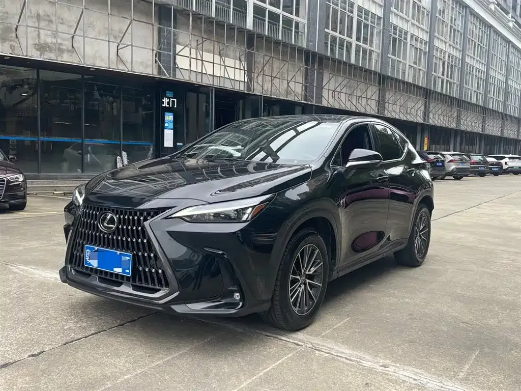 Lexus NX 2023 из CN, фото 1