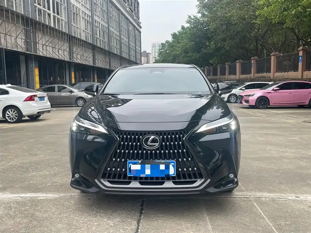 Lexus NX 2023 из CN, фото 2