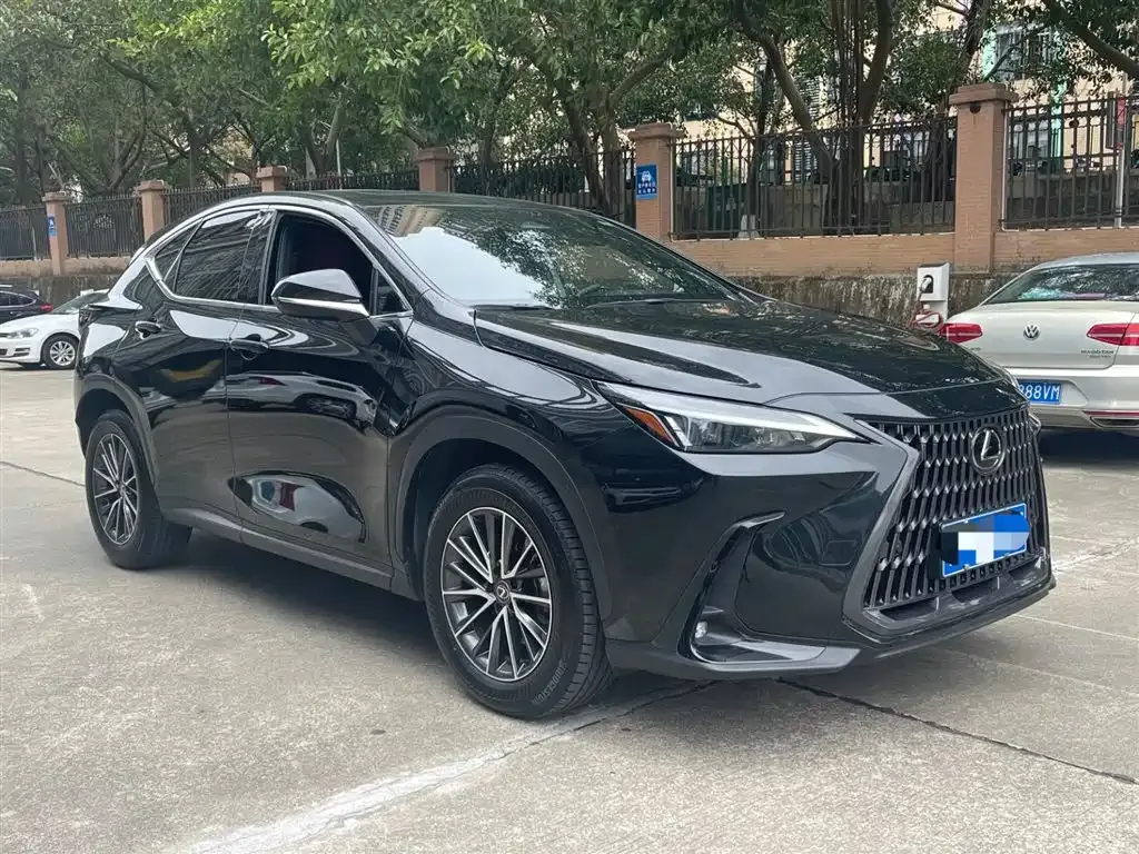 Lexus NX 2023 из CN, фото 3