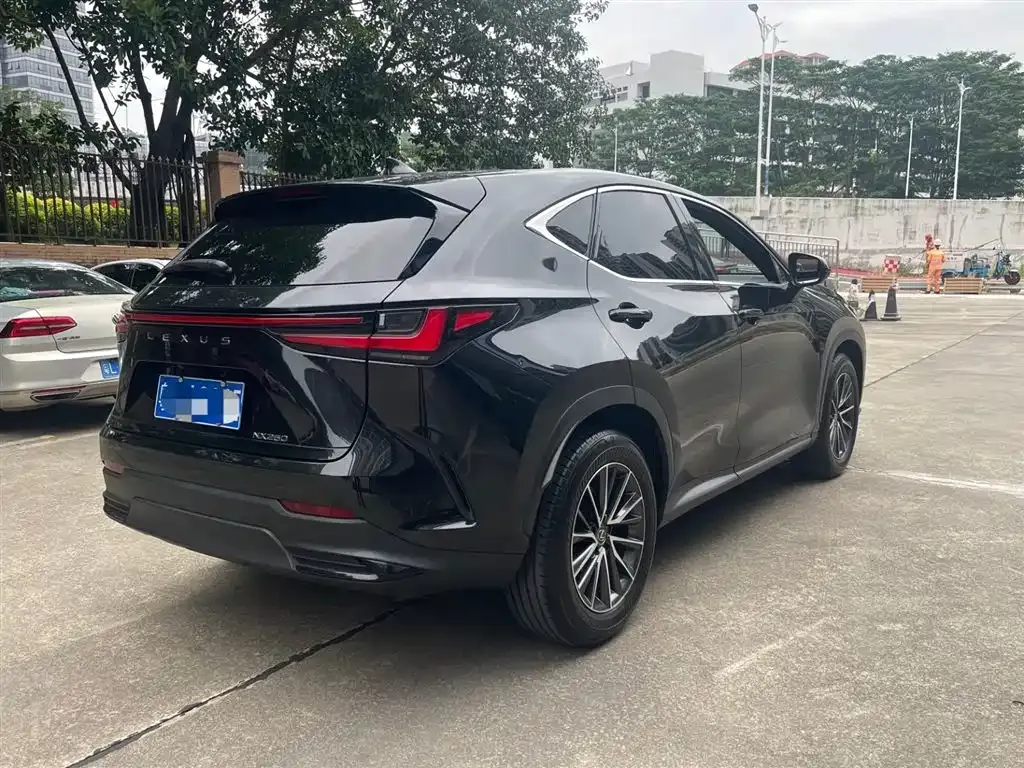 Lexus NX 2023 из CN, фото 7