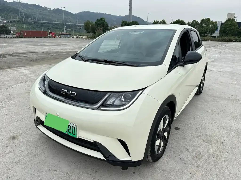 BYD Dolphin 2025 из CN, фото 1