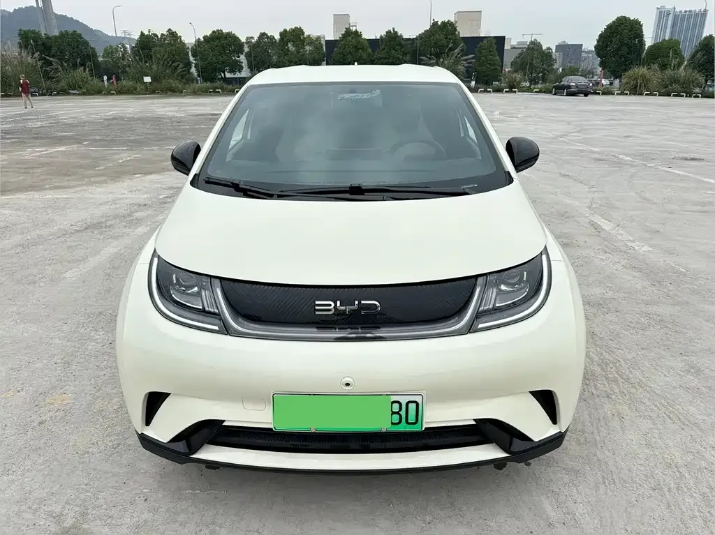BYD Dolphin 2025 из CN, фото 2
