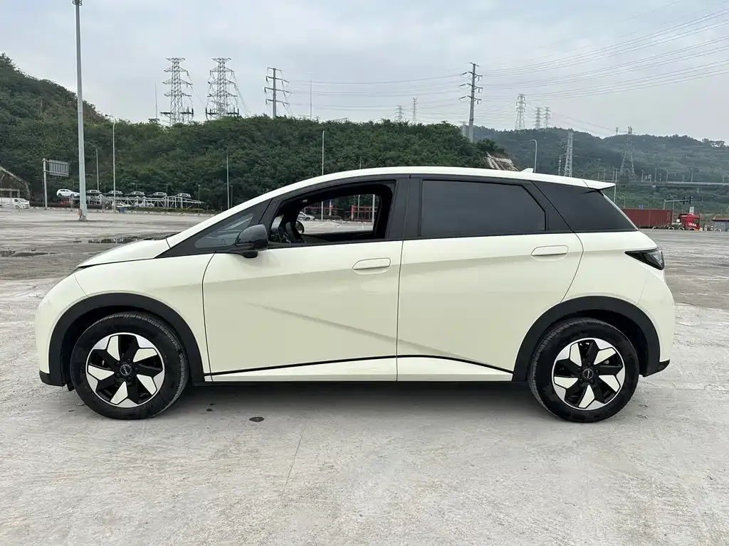 BYD Dolphin 2025 из CN, фото 3