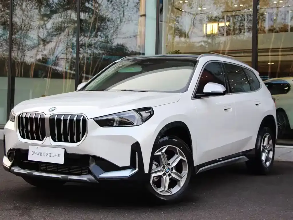 BMW X1 — фото 1