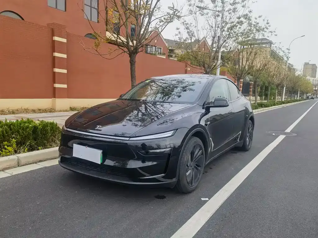 Tesla Model Y 2025 из CN, фото 1