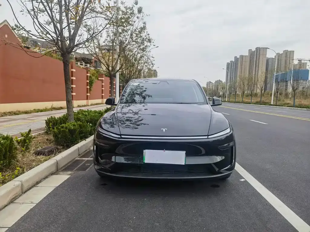 Tesla Model Y 2025 из CN, фото 2