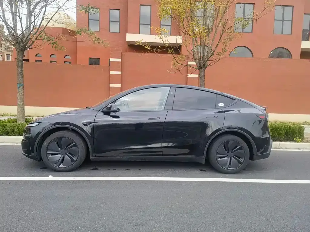 Tesla Model Y 2025 из CN, фото 3