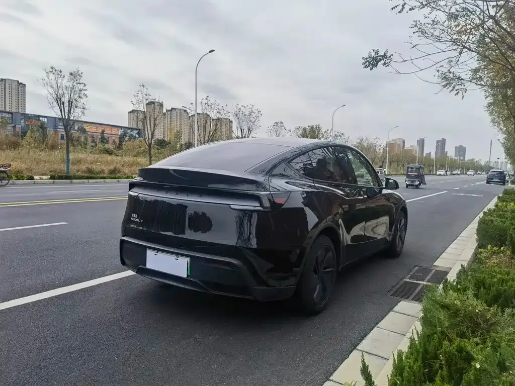Tesla Model Y 2025 из CN, фото 8