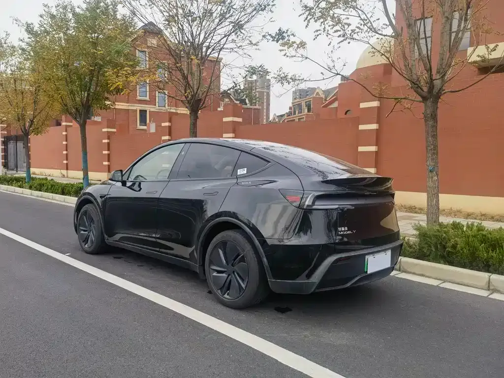 Tesla Model Y 2025 из CN, фото 9