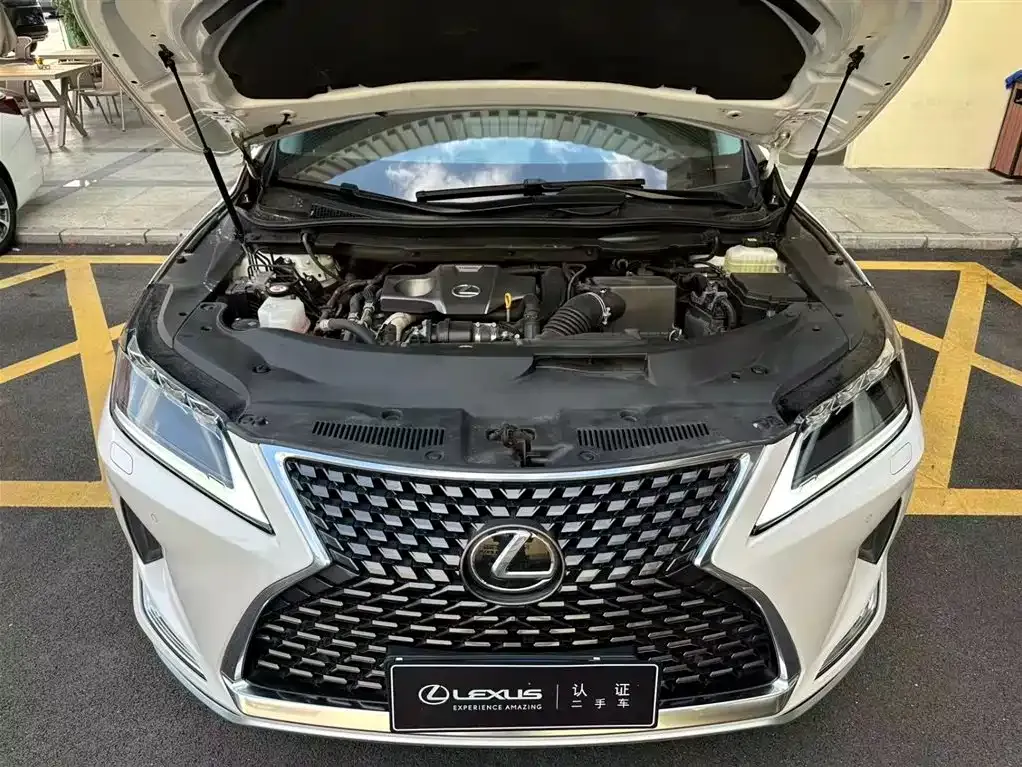 Lexus RX 2022 из CN, фото 4