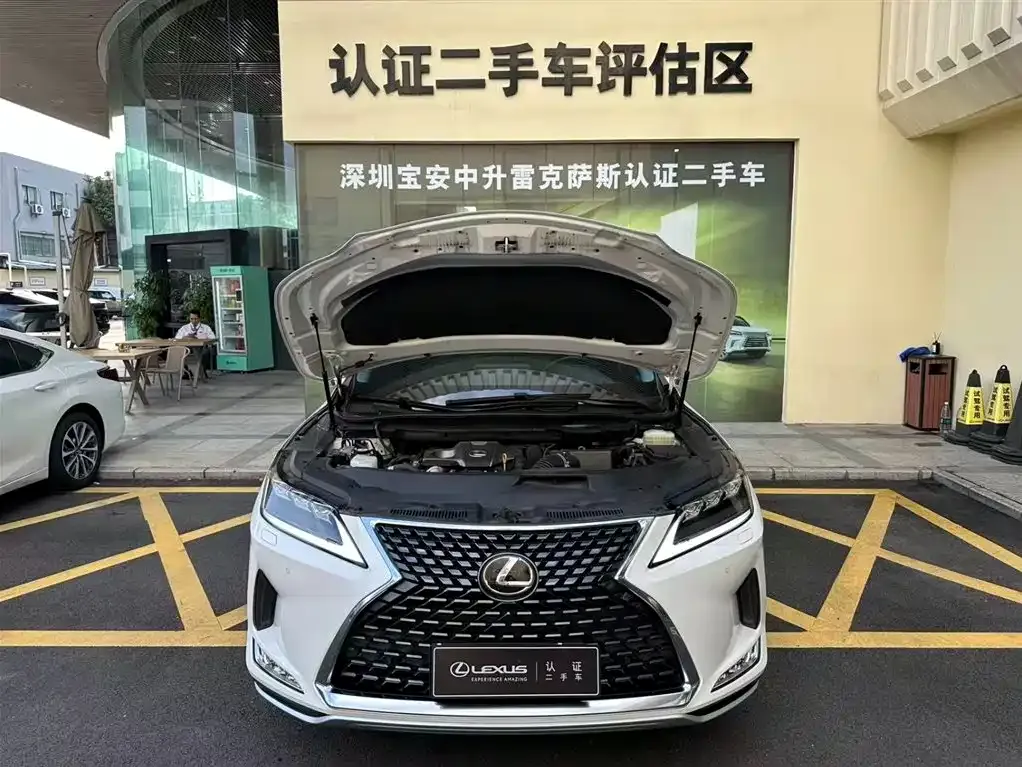 Lexus RX 2022 из CN, фото 5