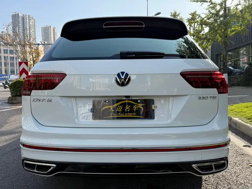 Volkswagen Tiguan L 2023 из CN, фото 5