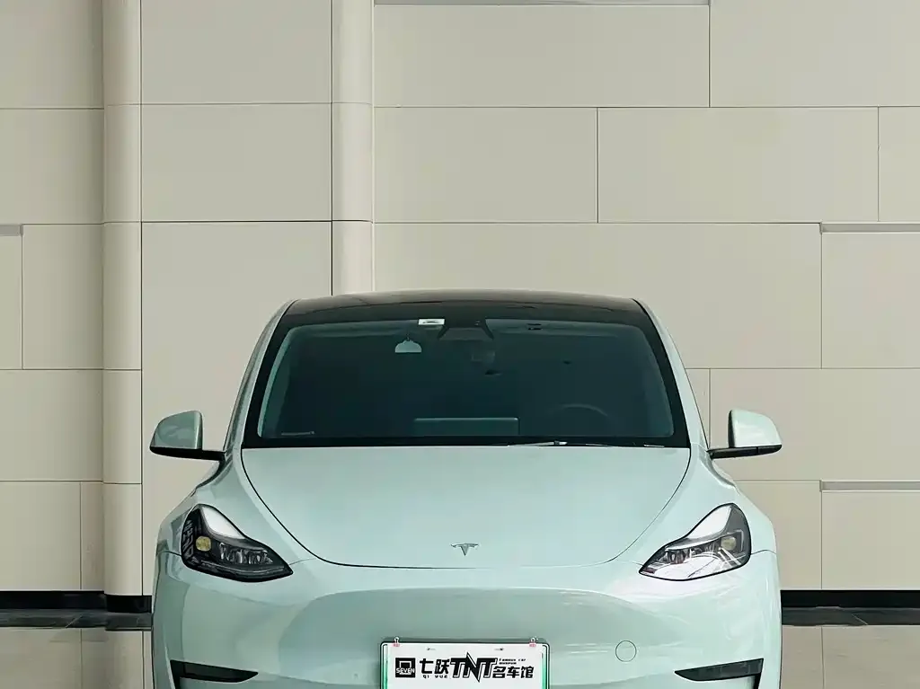 Tesla Model Y 2022 из CN, фото 2