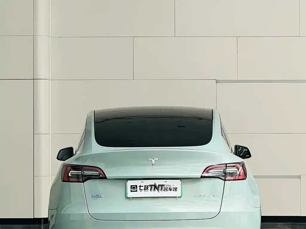 Tesla Model Y 2022 из CN, фото 4