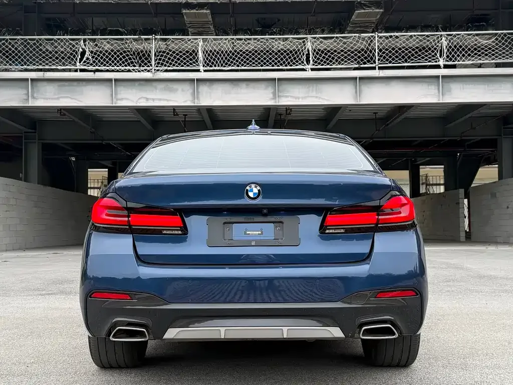 BMW 5 Series 2022 из CN, фото 10