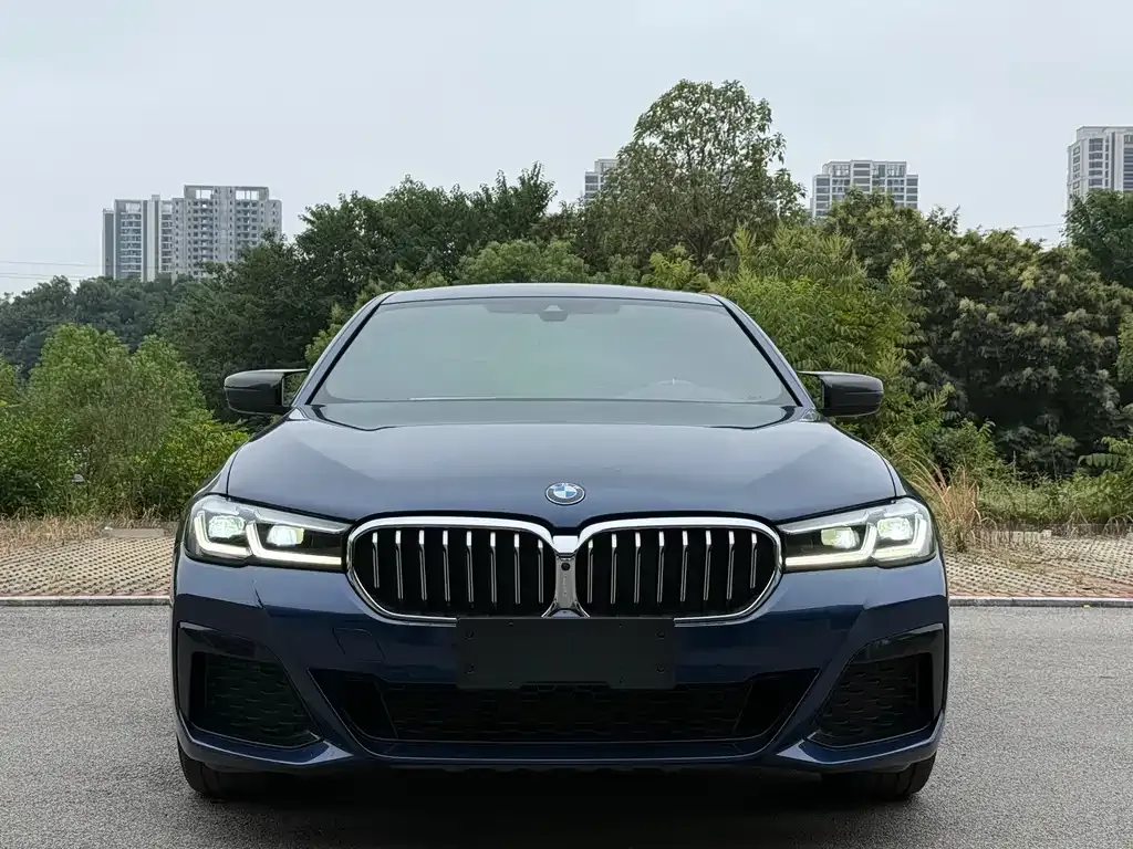 BMW 5 Series 2022 из CN, фото 2