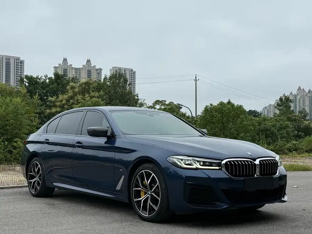 BMW 5 Series 2022 из CN, фото 3