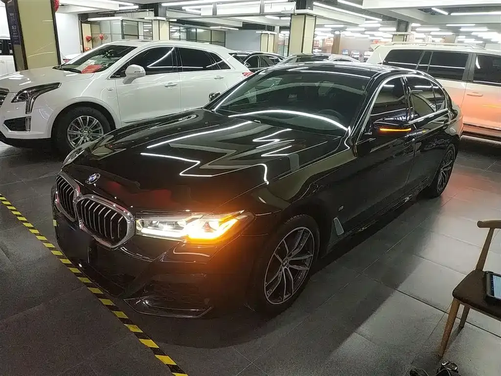 BMW 5 Series 2022 из CN, фото 1