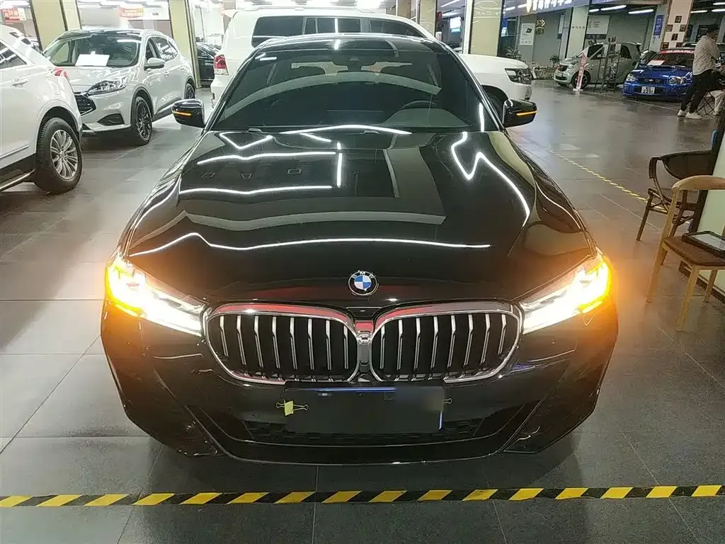 BMW 5 Series 2022 из CN, фото 3