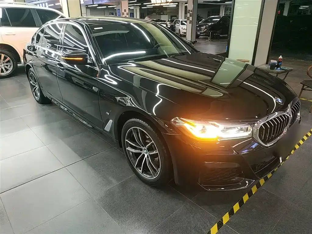 BMW 5 Series 2022 из CN, фото 4