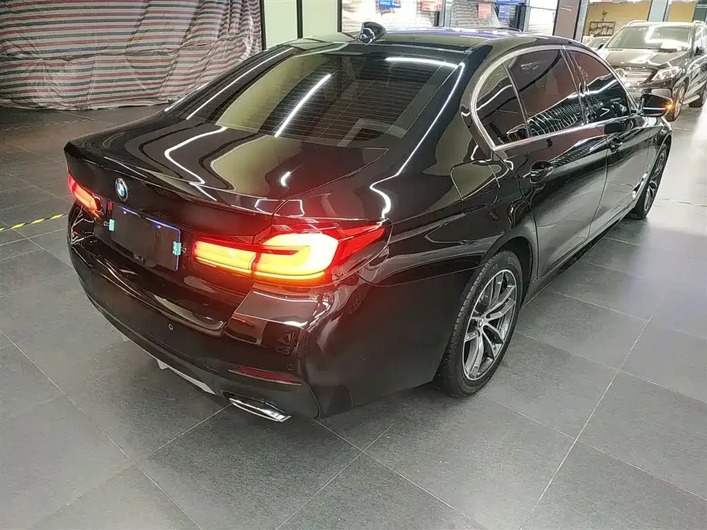BMW 5 Series 2022 из CN, фото 7