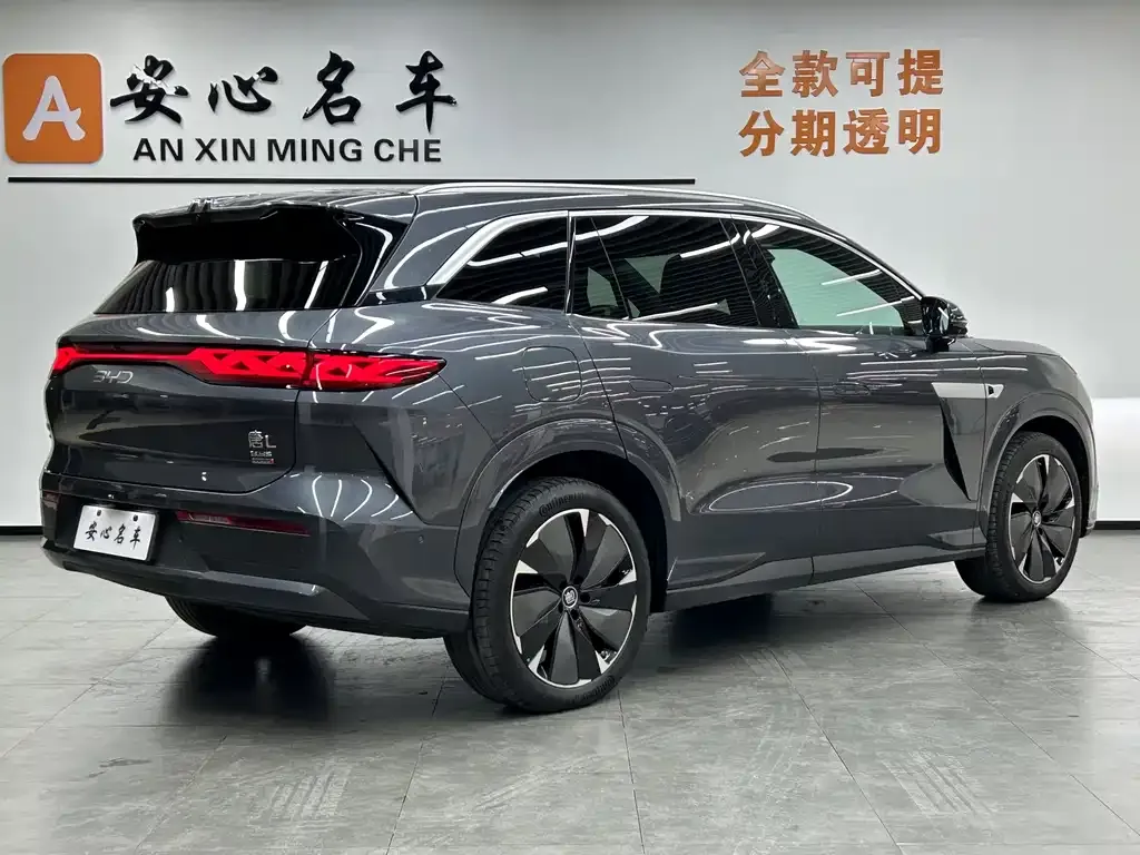 BYD Tang L 2025 из CN, фото 3