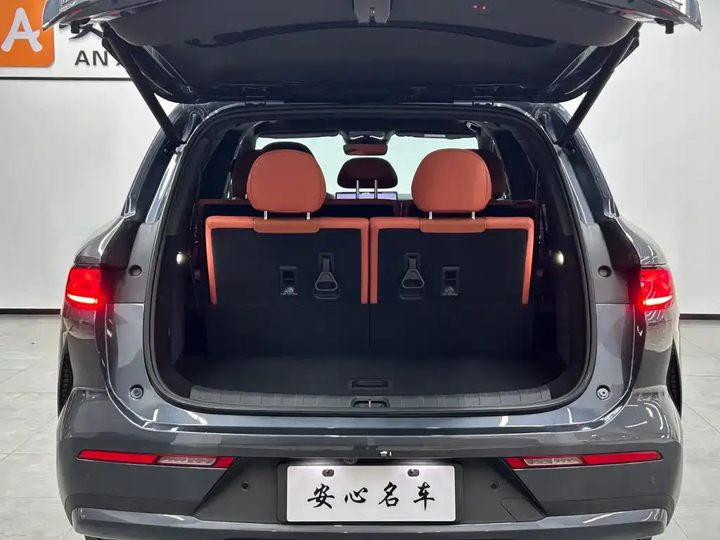 BYD Tang L 2025 из CN, фото 5