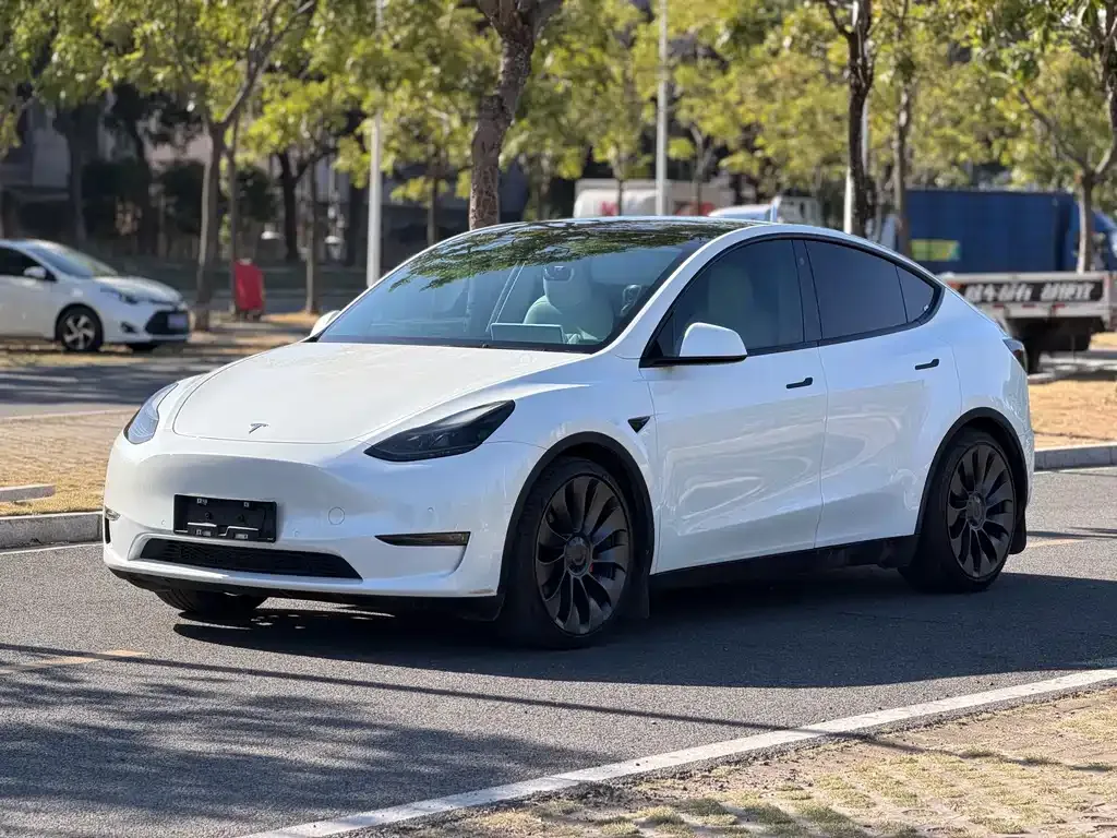 Tesla Model Y 2022 из CN, фото 1