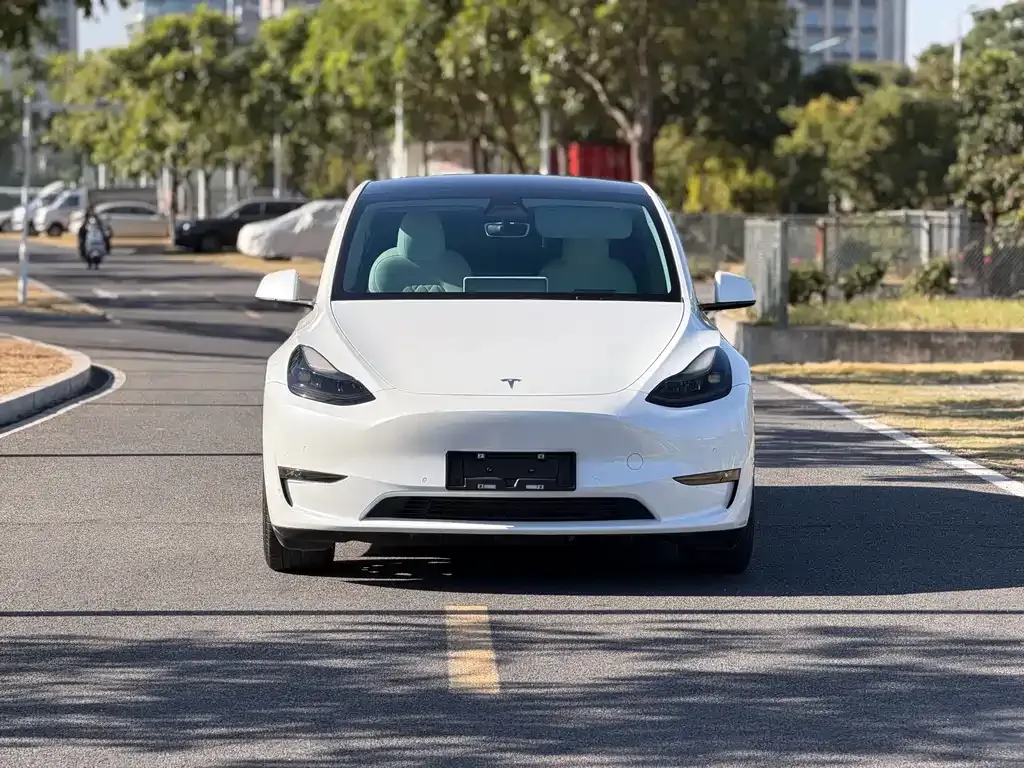 Tesla Model Y 2022 из CN, фото 2