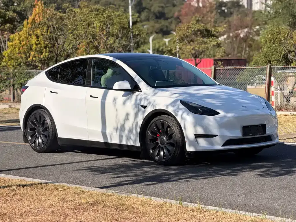 Tesla Model Y 2022 из CN, фото 3