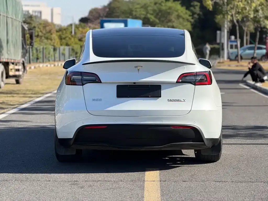Tesla Model Y 2022 из CN, фото 4