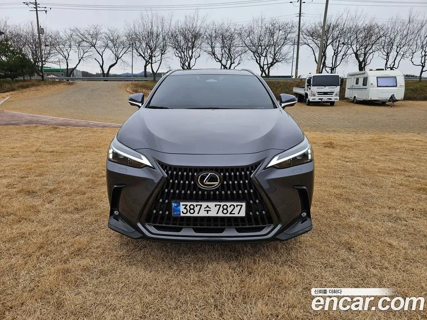 Lexus NX 2024 из KR, фото 2